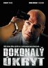 DVD film Dokonal kryt