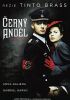 DVD film ern andl