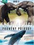 DVD film Fascinujc promny prody 3 BBC