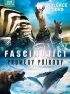 DVD film Fascinujc promny prody kolekce 3DVD BBC
