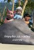 DVD film Impyho zzran ostrov