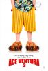 DVD film Ace Ventura Junior: Zvec detektiv