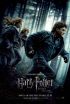 DVD film Harry Potter a Relikvie smrti - st 1 2DVD