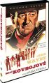 DVD film Mal kovbojov